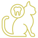 047-veterinrmedizin Zahnheilkunde – Behandlung von Zahnproblemen und Maulerkrankungen