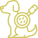 052-hund-2 Hauterkrankungen und Allergien – Diagnose und Therapie von Hautproblemen und allergischen Reaktionen