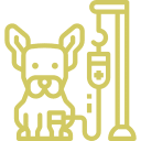 Onkologie Onkologie – Diagnostik und Therapie von Tumoren und Krebserkrankungen bei Tieren