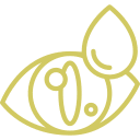 auge Augenkrankungen – Behandlung von Erkrankungen der Augen bei Tieren