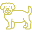 huendin Gynäkologie und Andrologie – Betreuung bei Fruchtbarkeit, Trächtigkeit und Fortpflanzungsproblemen